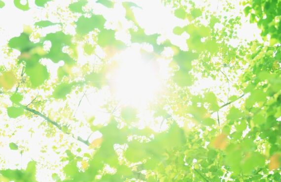 30年間は安心して太陽光が使える | 埼玉で太陽光発電なら豊富な実績を誇る株式会社ILBS